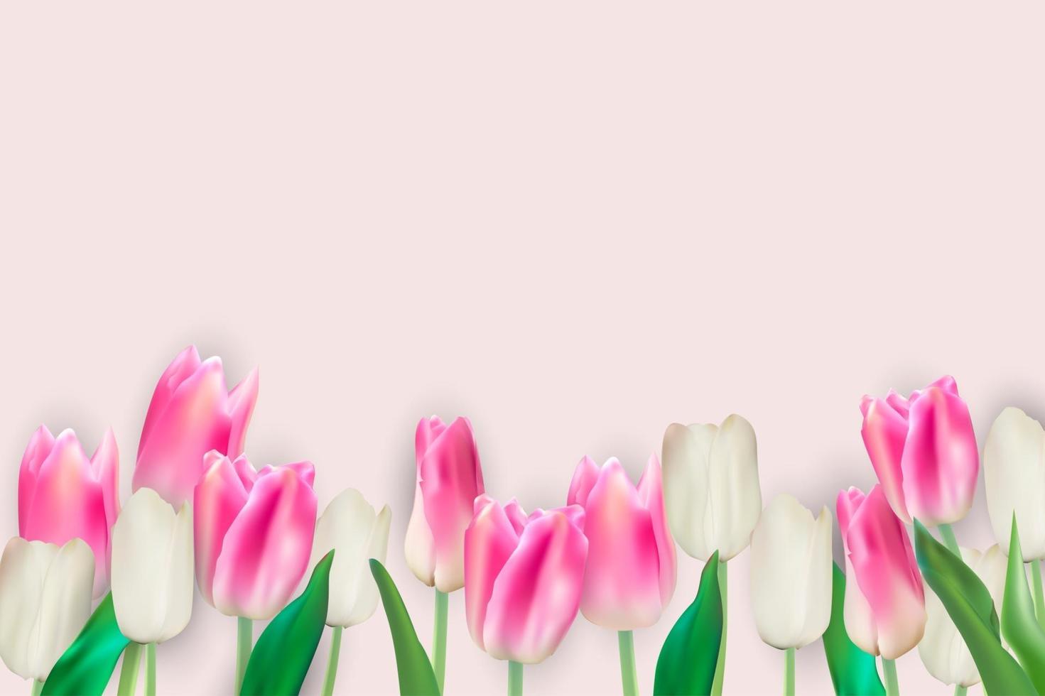 realistische vectorillustratie kleurrijke tulpen achtergrond vector