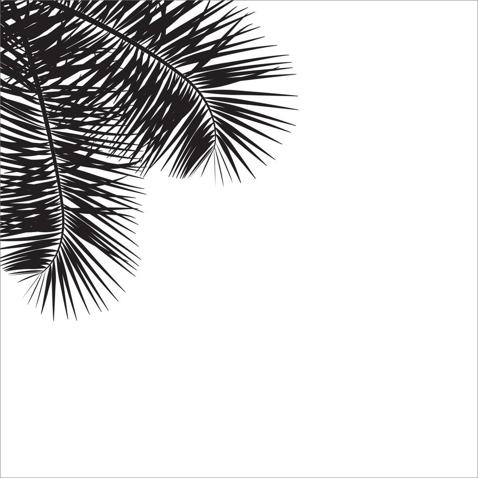 mooie palmboom blad silhouet achtergrond vectorillustratie vector