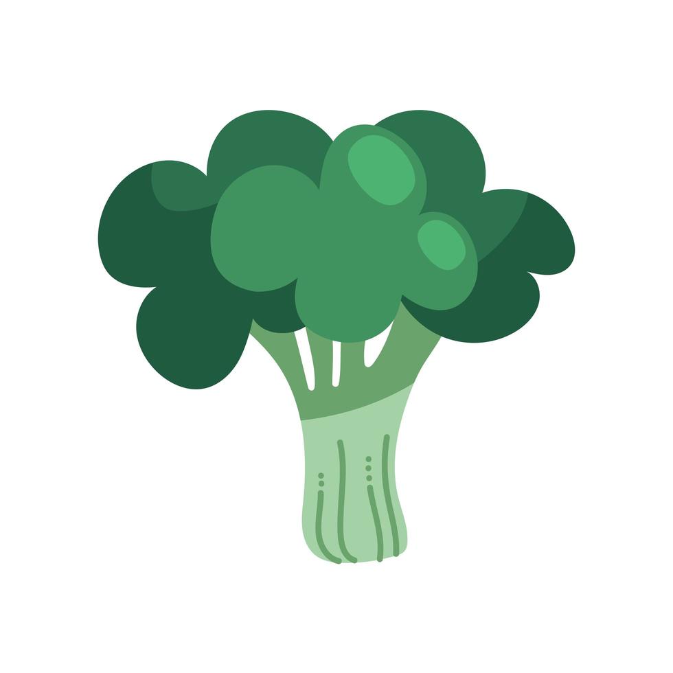 broccoli verse groente vector