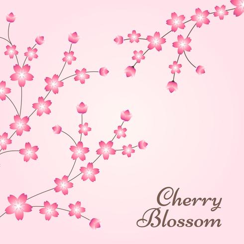 Cherry Blossom Spring Design achtergrond vector