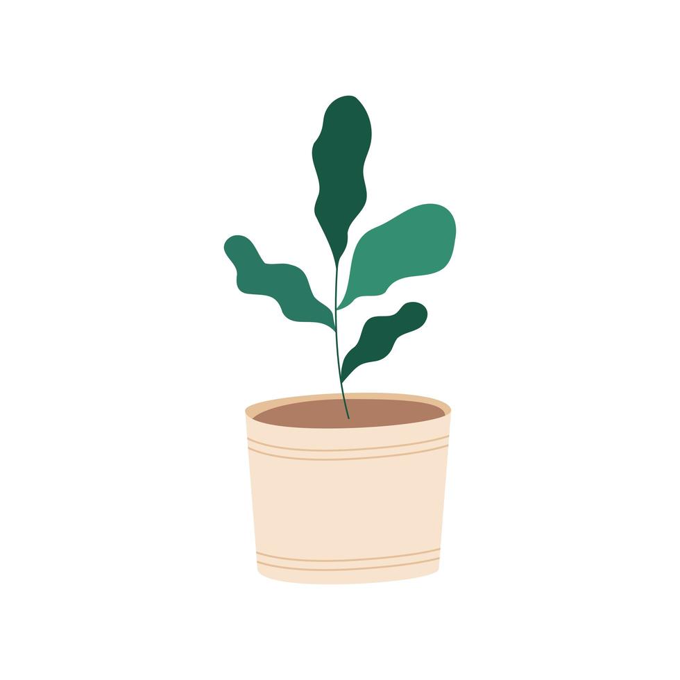 kamerplant in keramische pot pictogram vector