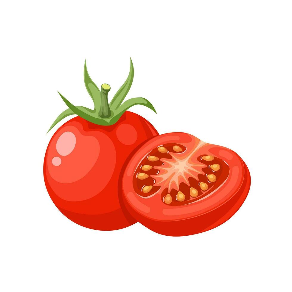 vector illustratie, geheel en gehalveerd kers tomaten, geïsoleerd Aan wit achtergrond.
