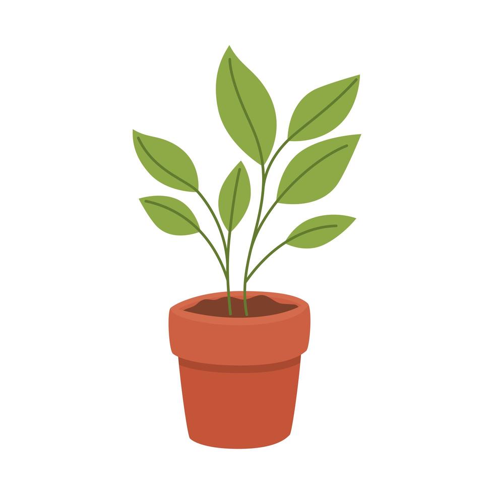 plant in pot vector