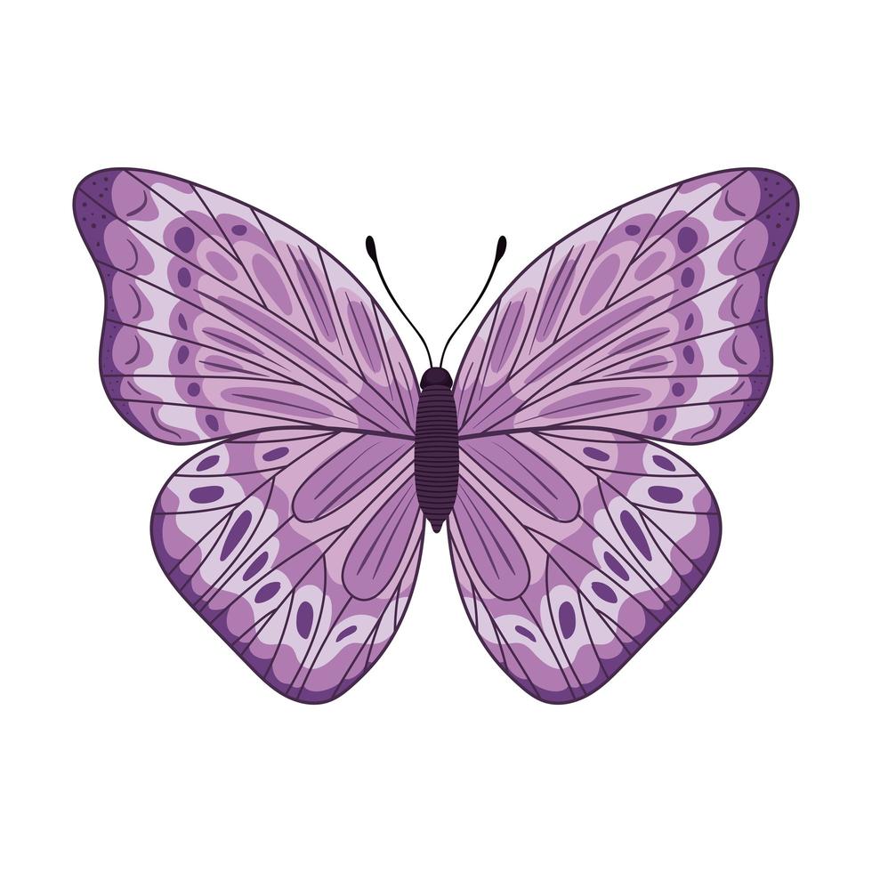 schattig vlinderontwerp vector