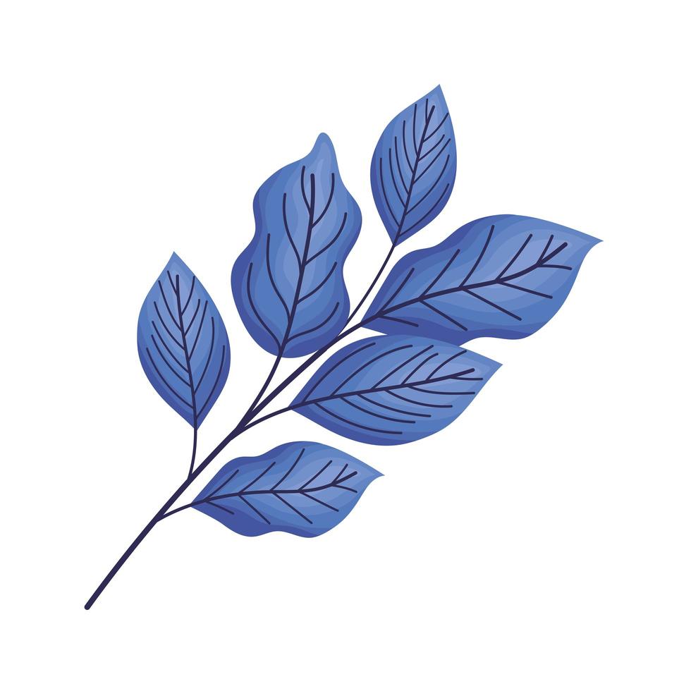 mooie blauwe bladeren vector