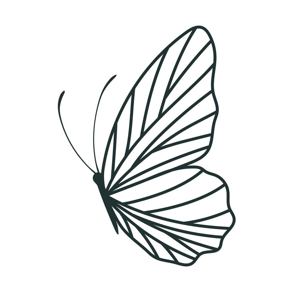 schattige vlinder illustratie vector