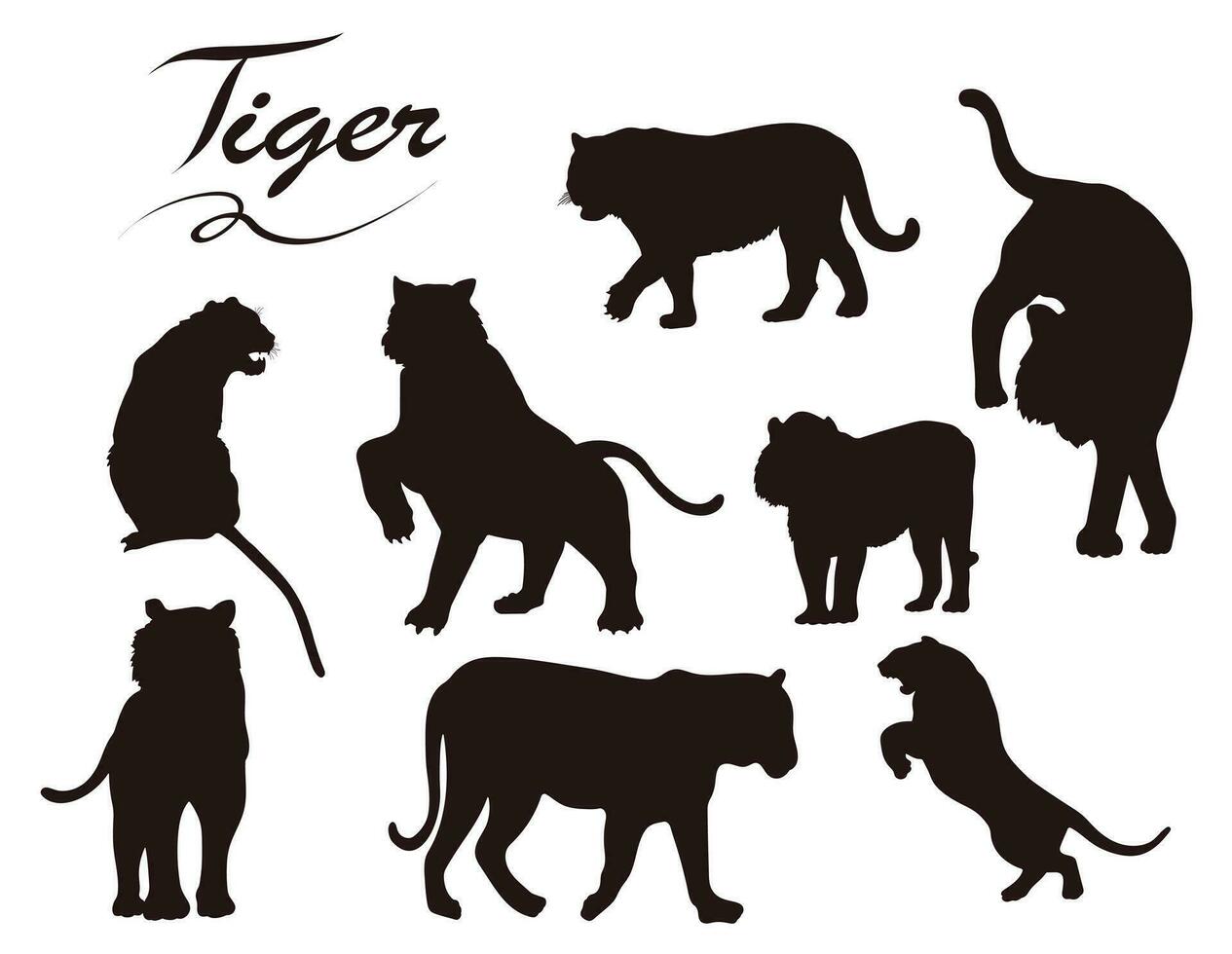 vector tijger silhouet Aan wit achtergrond