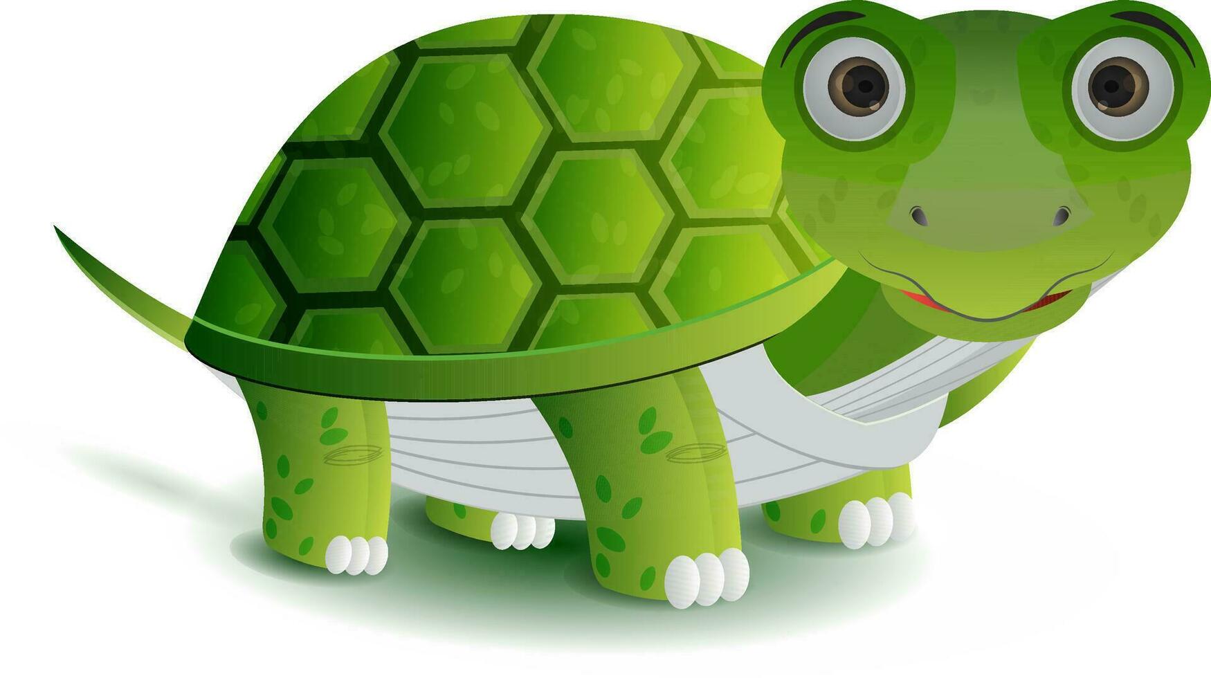 schattig groen schildpad groot oog geïsoleerd vector