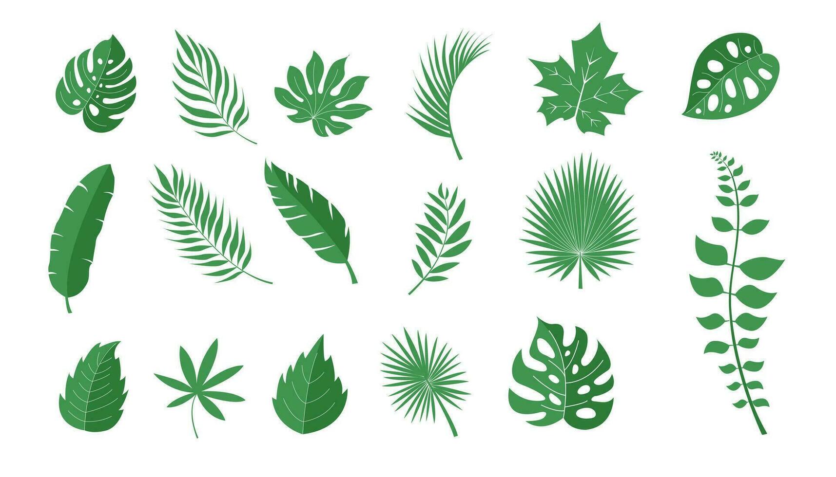 kleurrijk hand- getrokken verzameling van tropisch bladeren vector illustratie