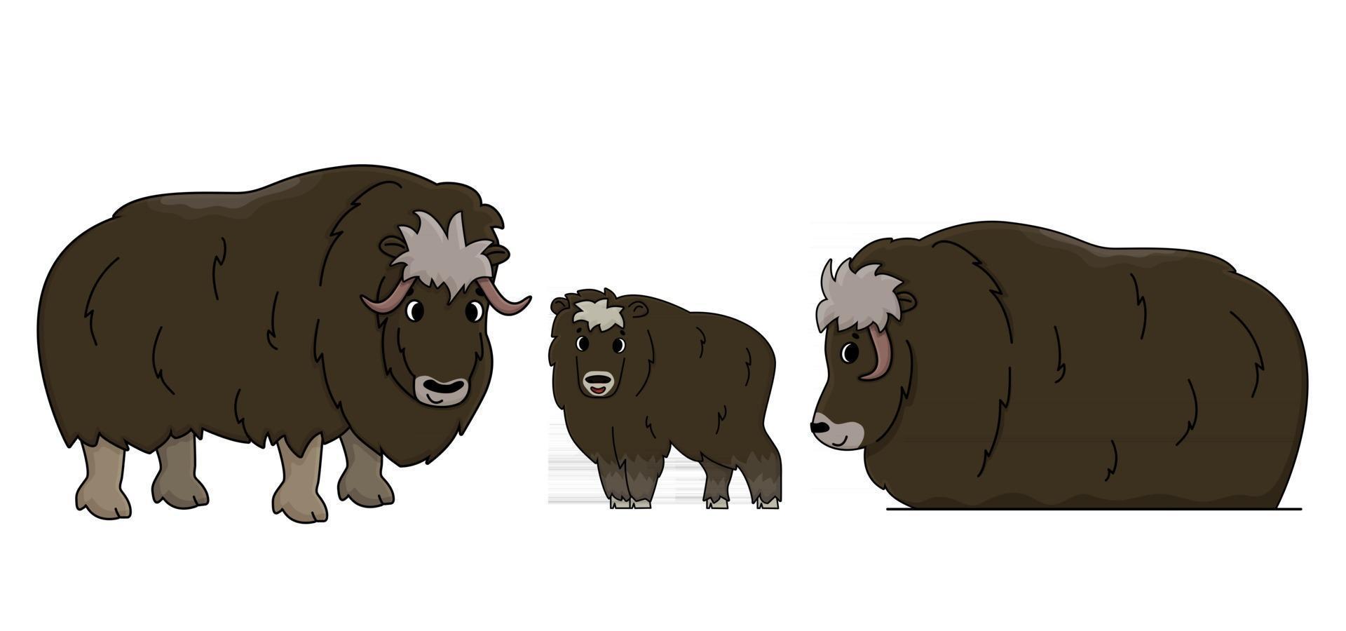 set van drie vector overzicht cartoon geïsoleerde hand getrokken muskoxes. illustratie op witte achtergrond, zijaanzicht van een doodle muskox of ovibos moschatus familie staande en liggend op de grond