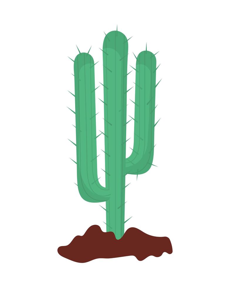 groene woestijncactus vector