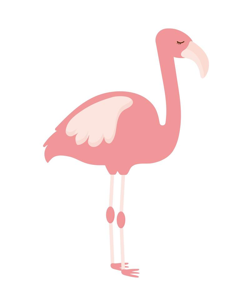 mooie roze flamingo vector