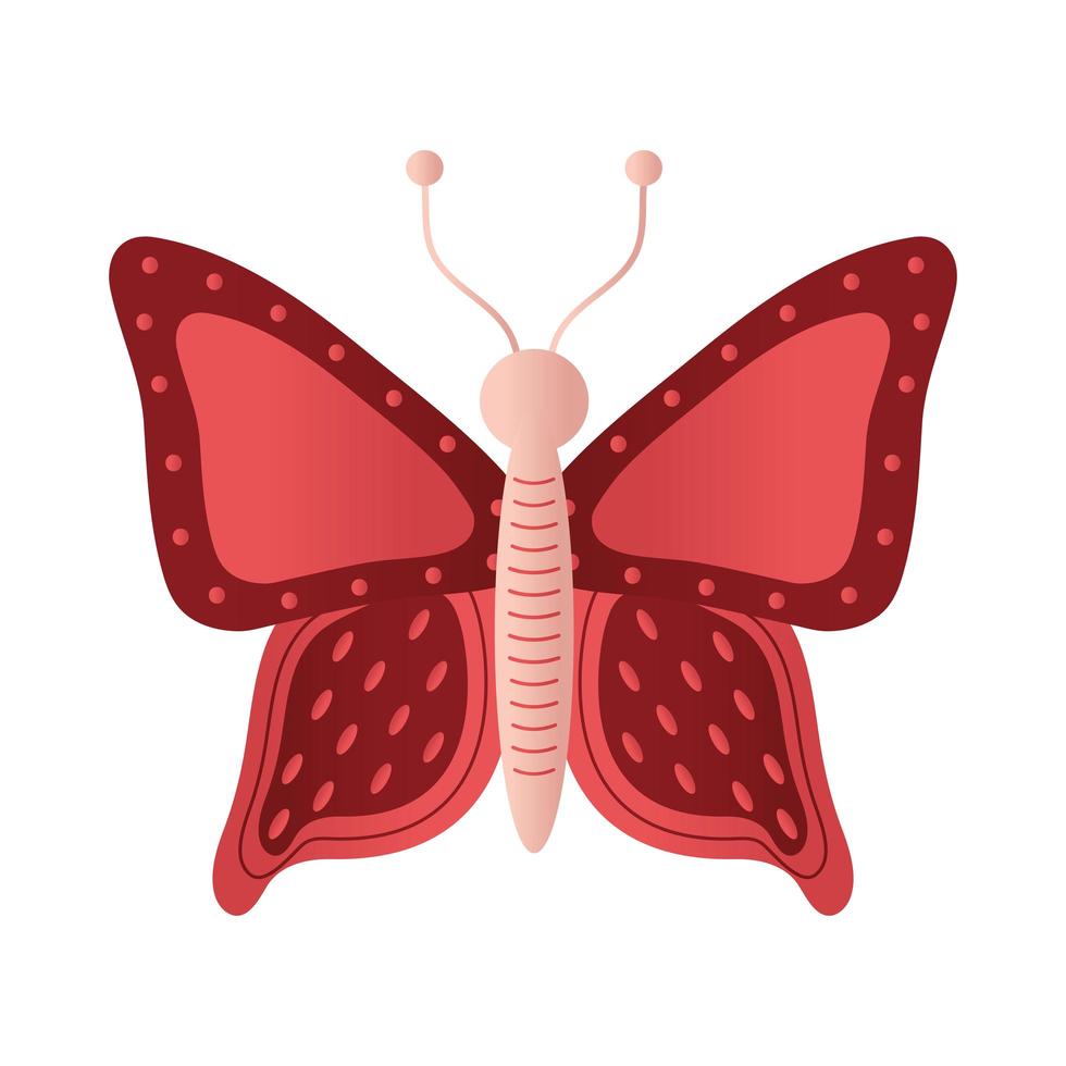 vlinder met een rode kleur vector