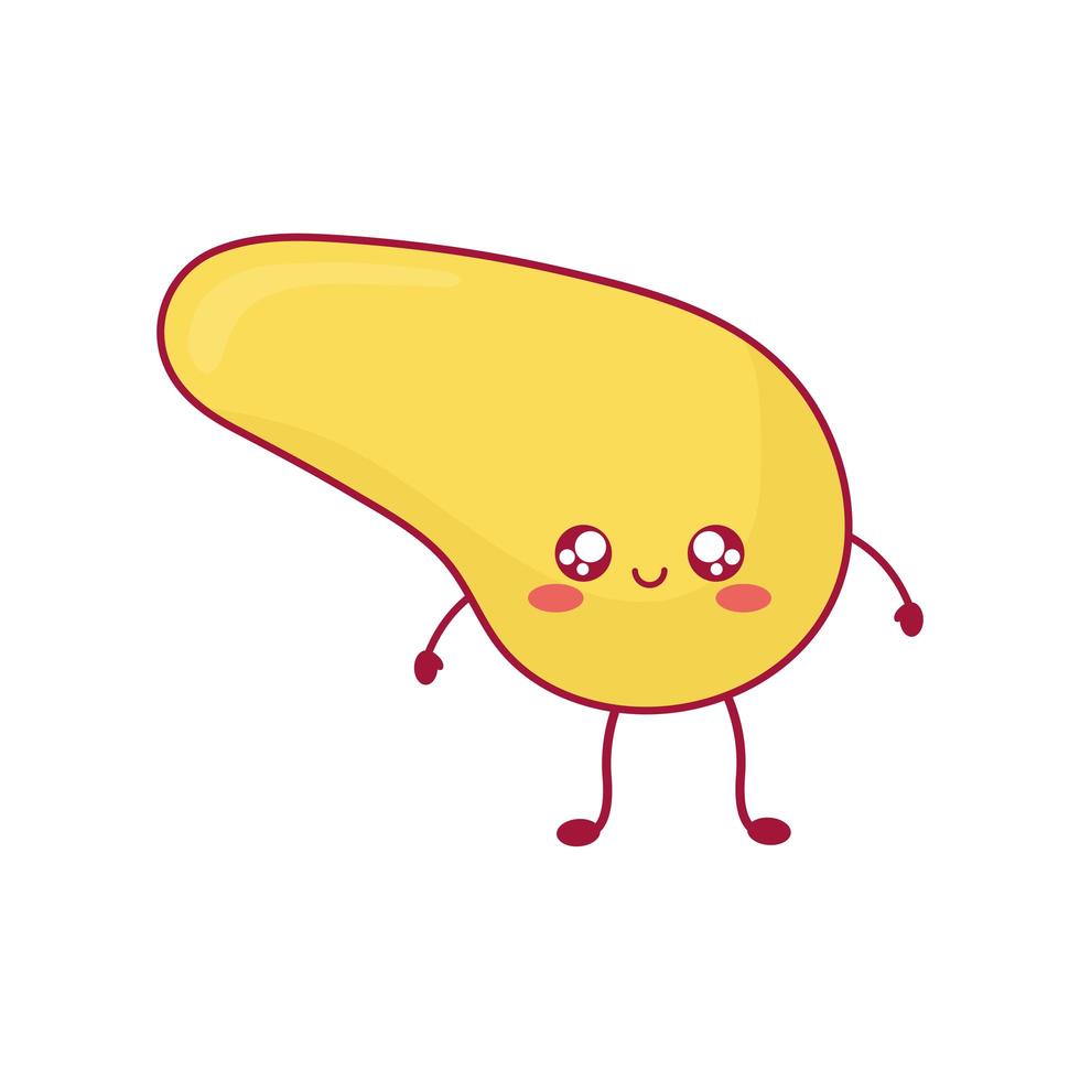 schattig pancreas icoon vector