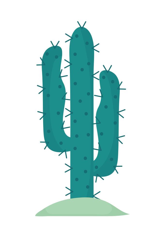 groene woestijncactus vector