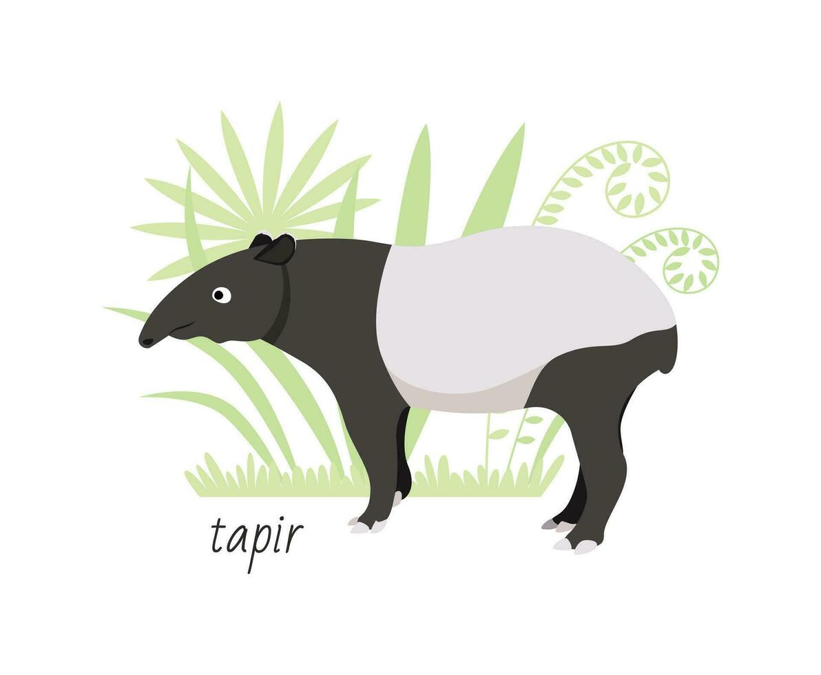 dier tapir geïsoleerd Aan wit achtergrond. tropisch planten. vector vlak illustratie