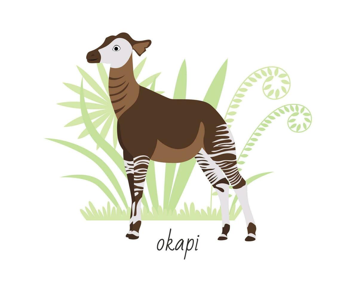 dier okapi geïsoleerd Aan wit achtergrond. tropisch planten. vector vlak illustratie