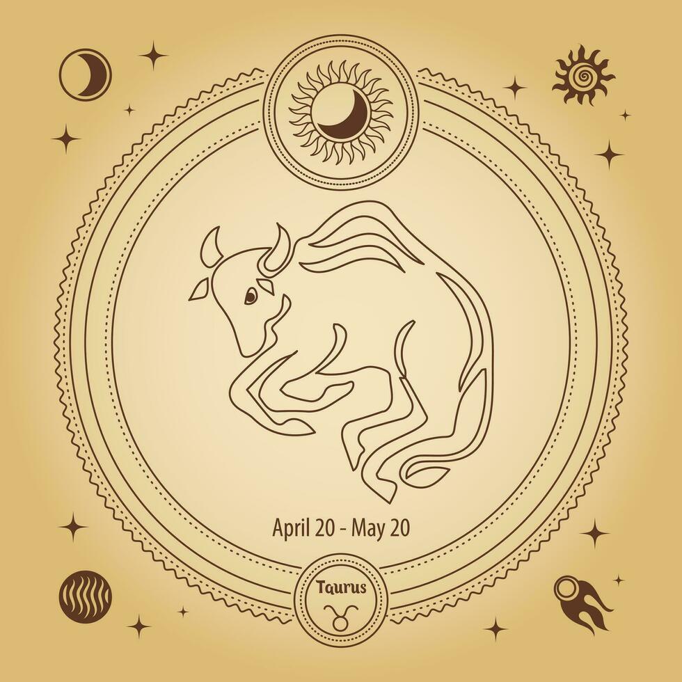 Stier dierenriem teken, astrologisch horoscoop teken. schets tekening in een decoratief cirkel met mystiek sterrenkundig symbolen. vector