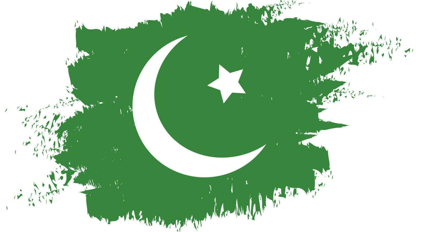 de vlag van Pakistan is geschilderd Aan een wit achtergrond vector