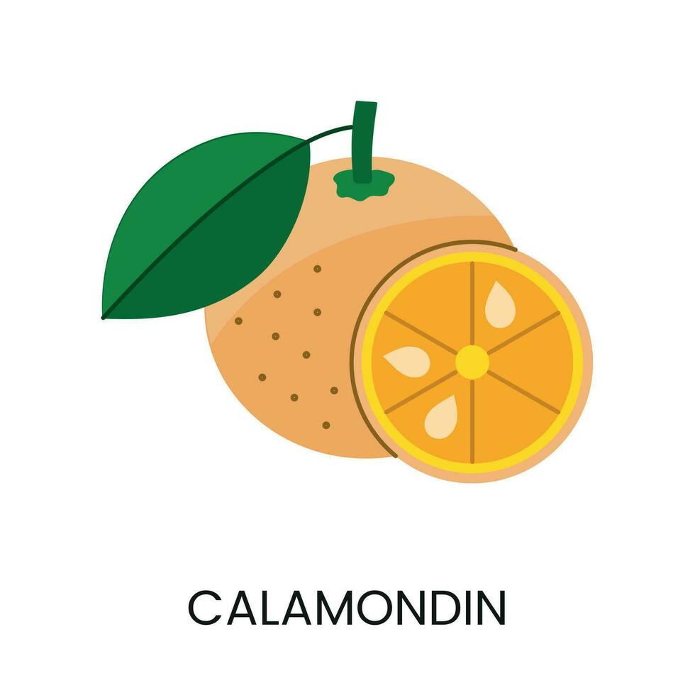 vector illustratie van calamondijn, overbrengen sappigheid en levendig kleur. ideaal voor vers en levendig ontwerpen.