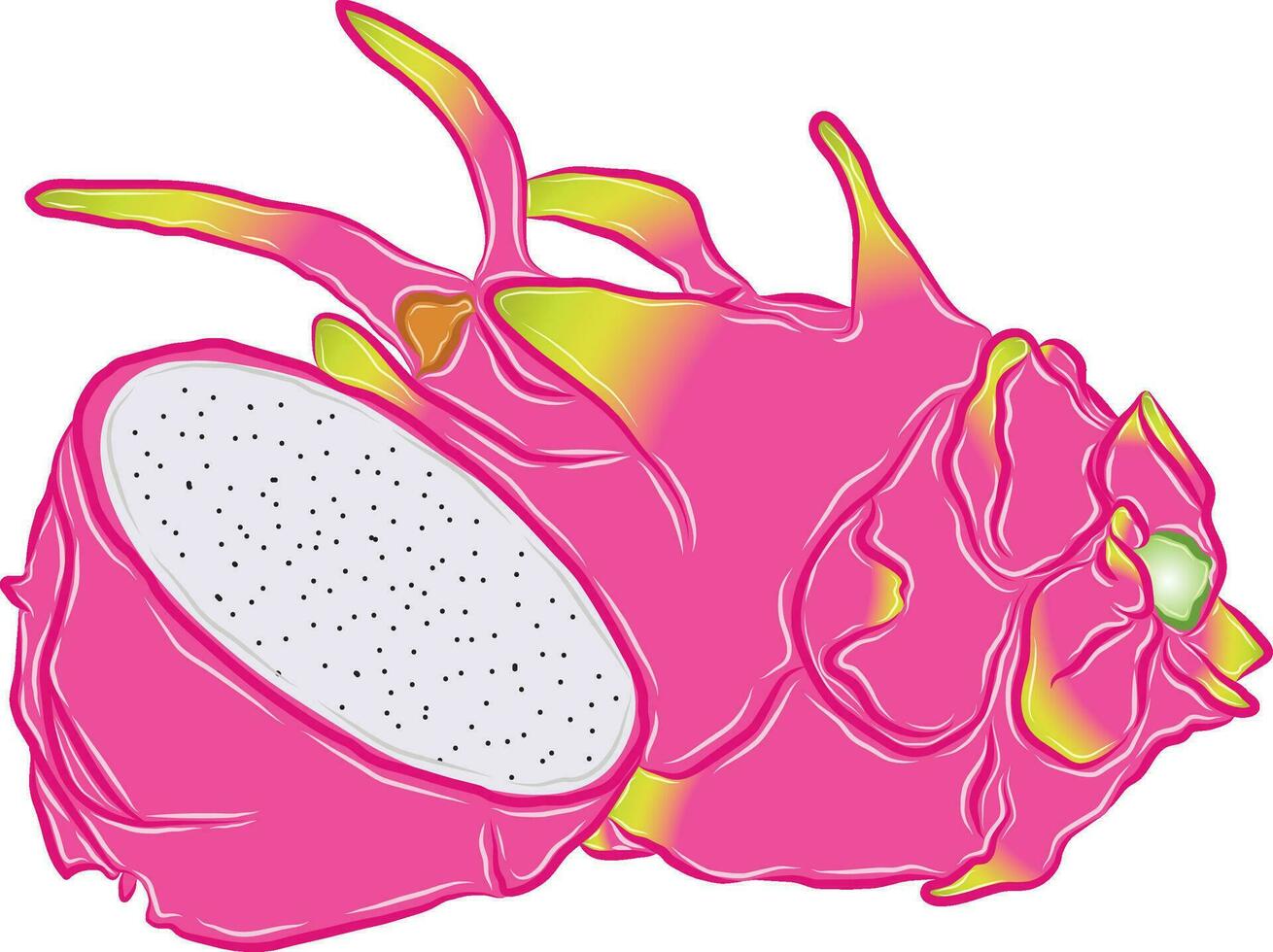 draak fruit vector afbeelding paars roze besnoeiing in voor de helft