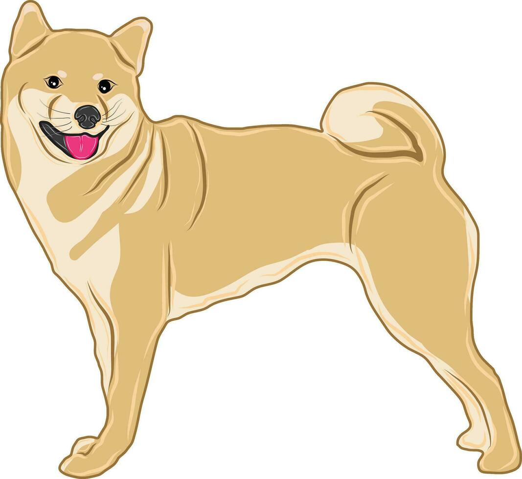 een vector afbeelding of illustratie van een Shiba Inu hond ras, ook bekend net zo een inoe, staand en lachend.