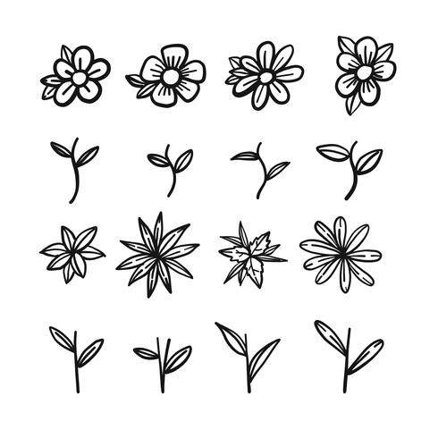 Hand getrokken schets van bloem deel vector