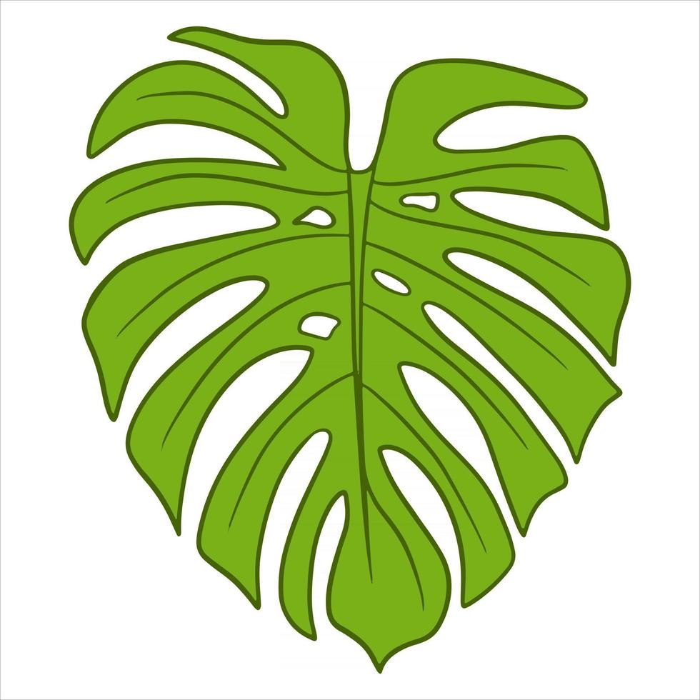 tropische planten exotisch gesneden groen blad in cartoon-stijl vector