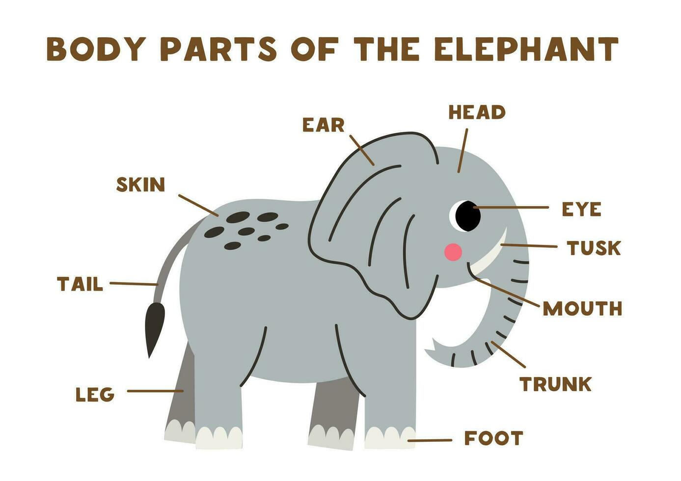 lichaam onderdelen van de schattig grijs olifant. regeling voor kinderen. vector