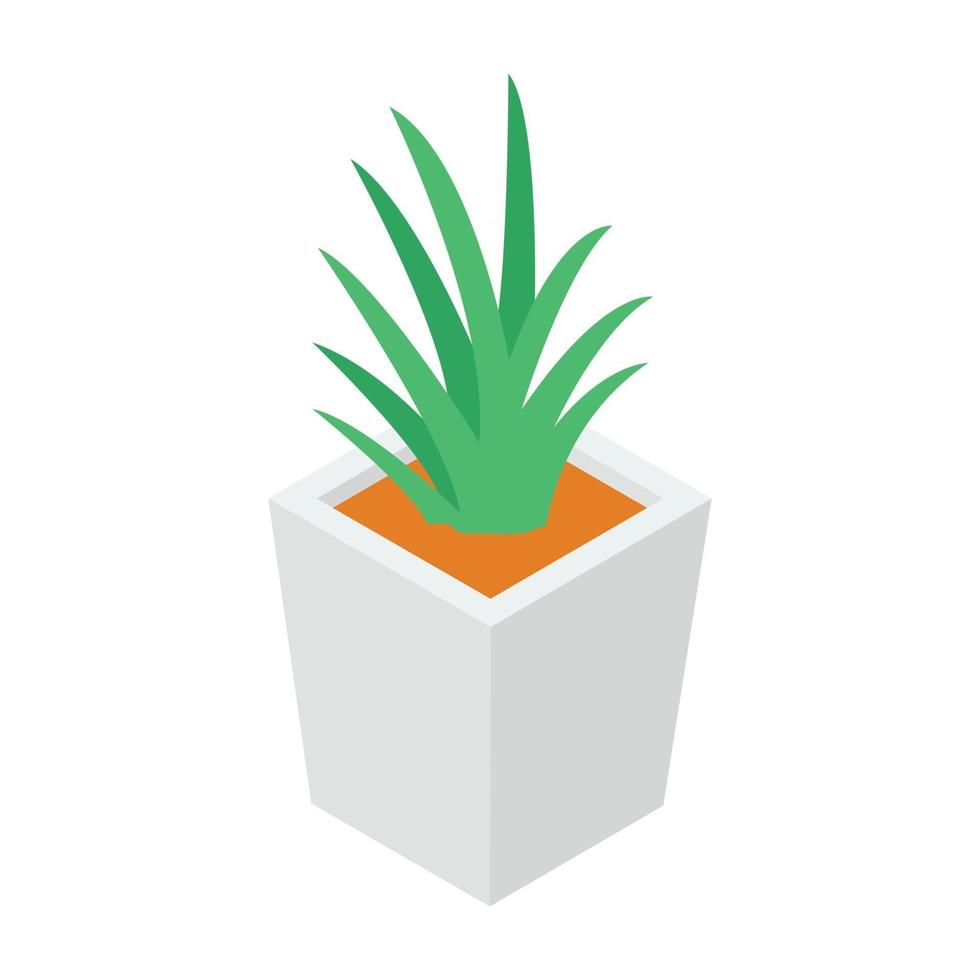 Aloë Vera plant vector