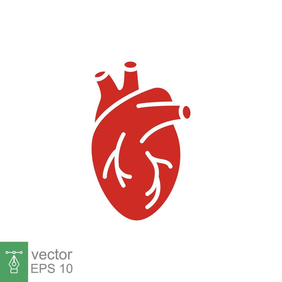 rood menselijk hart icoon. gemakkelijk stevig, vlak stijl. intern orgaan, echt, cardiologie, hart- anatomie, medisch concept. silhouet, glyph symbool. vector illustratie geïsoleerd Aan wit achtergrond. eps 10.