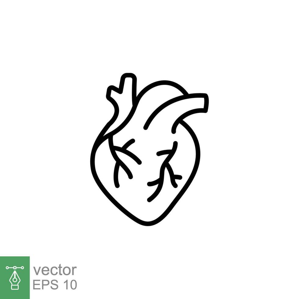 menselijk hart icoon. gemakkelijk schets stijl. intern orgaan, echt, cardiologie, hart- anatomie, medisch concept. dun lijn symbool. vector illustratie geïsoleerd Aan wit achtergrond. eps 10.