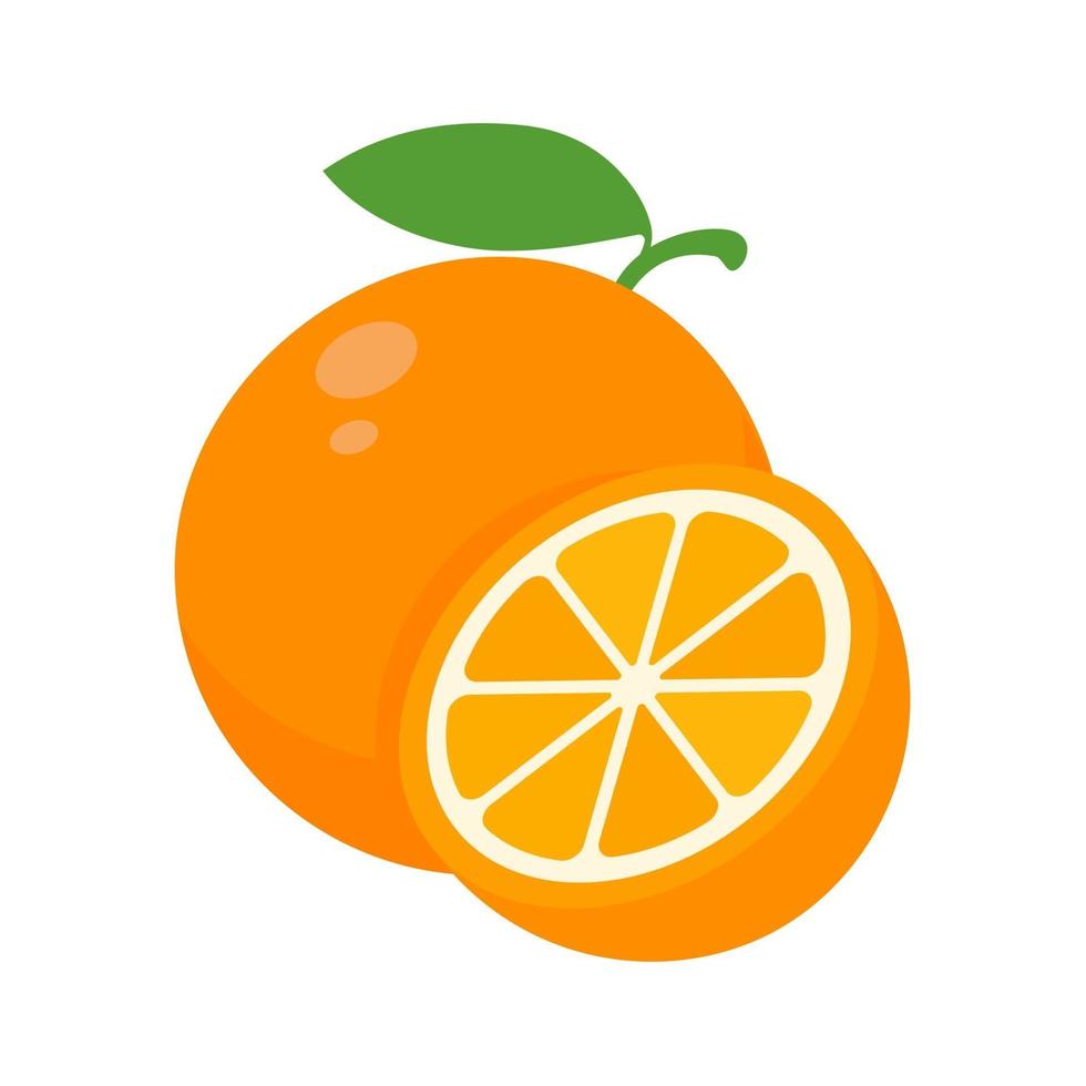 oranje fruitvector. vector