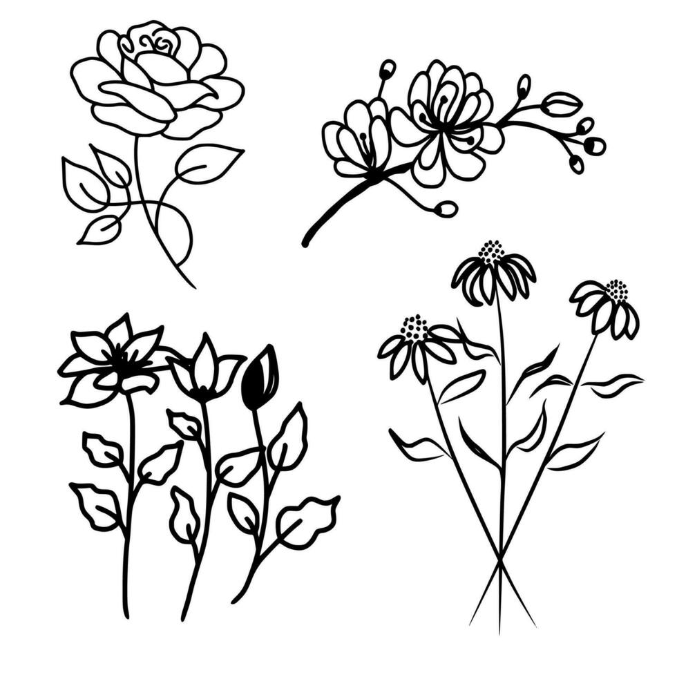 hand- getrokken bloemen tekening van roos, kers bloesem, zonnehoed en jasmijn vector