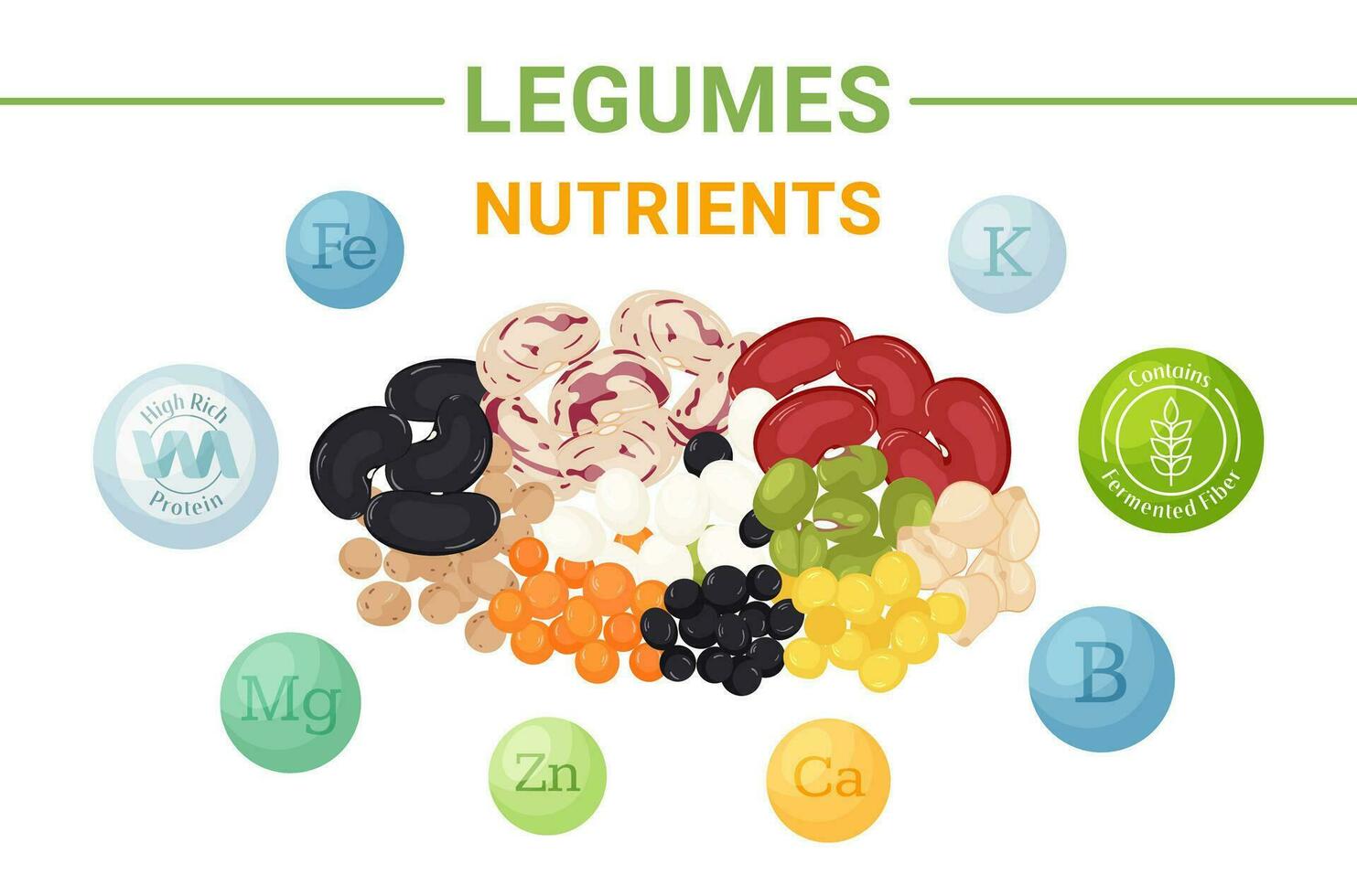 peulvruchten met hoog voedingswaarde waarde banier concept. gefermenteerd vezel, eiwit, vitamine b, k, ca, mg, bv, zn. vector