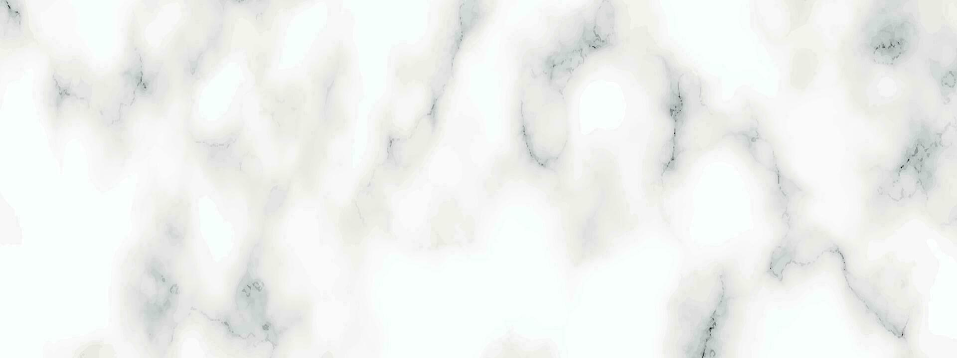 wit panorama marmeren textuur. abstract licht elegant wit voor verdieping keramisch teller structuur steen plaat glad tegel grijs zilver natuurlijk. vector