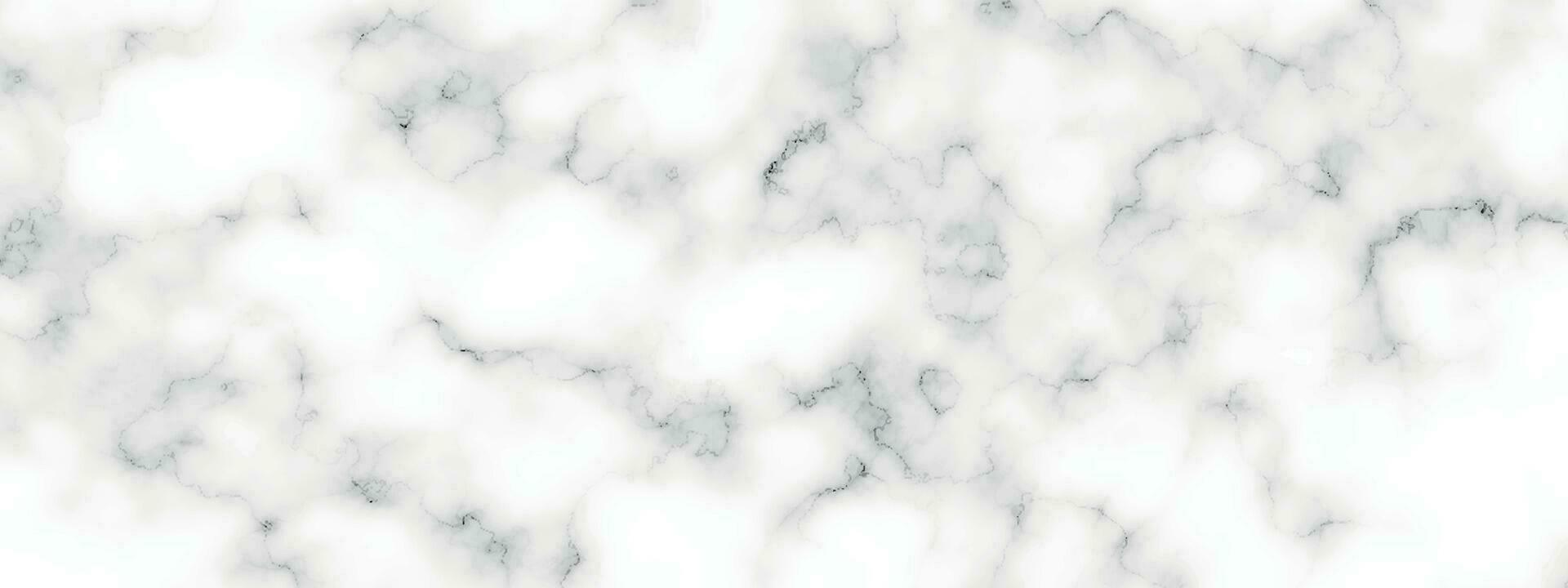 marmeren graniet wit panorama achtergrond. abstract licht elegant zwart Doen vloer, keramisch structuur steen plaat. marmeren vector structuur achtergrond met hoog oplossing.