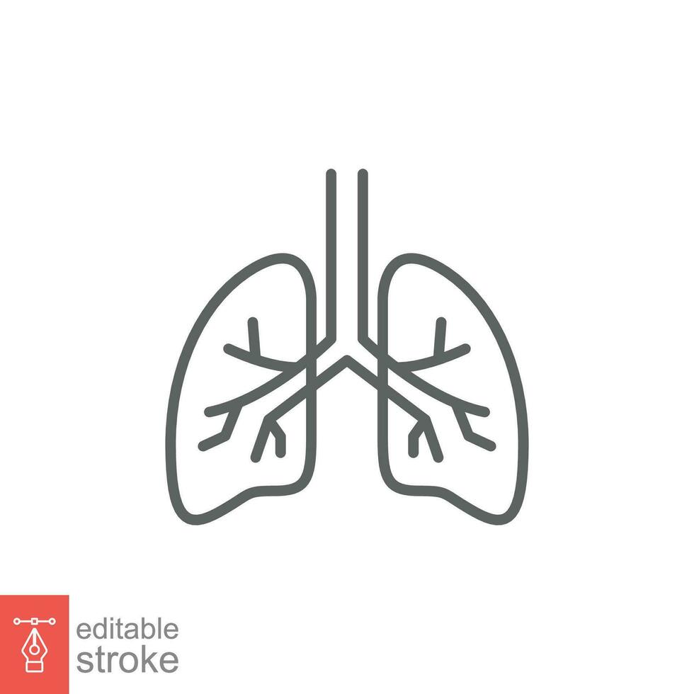longen icoon. gemakkelijk schets stijl. menselijk intern orgaan, long, ademhalings systeem, longziekten concept. dun lijn symbool. vector illustratie geïsoleerd Aan wit achtergrond. bewerkbare beroerte eps 10.