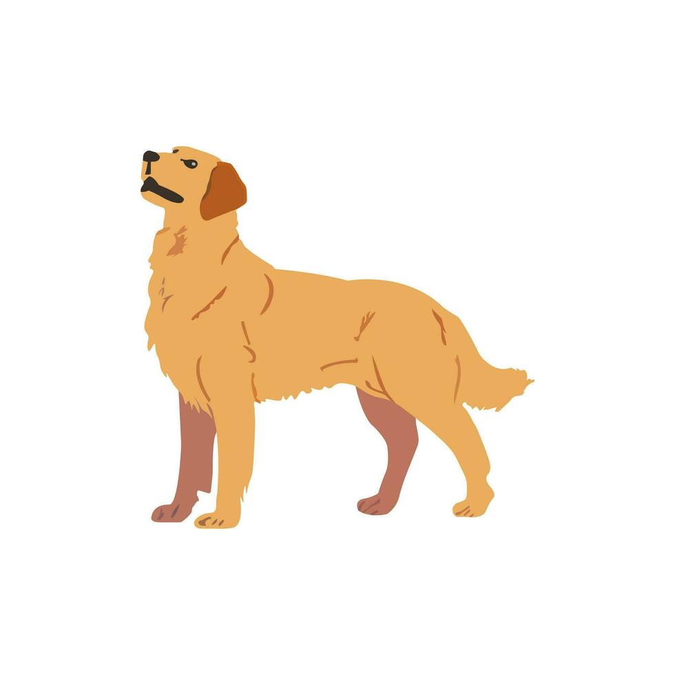 een staand hond. huisdieren concept. geïsoleerd vector illustratie.