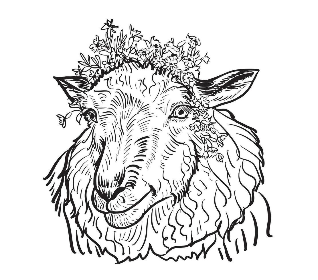 portret van een schapen met wilde bloemen Aan haar hoofd.doodle stijl in inkt vector
