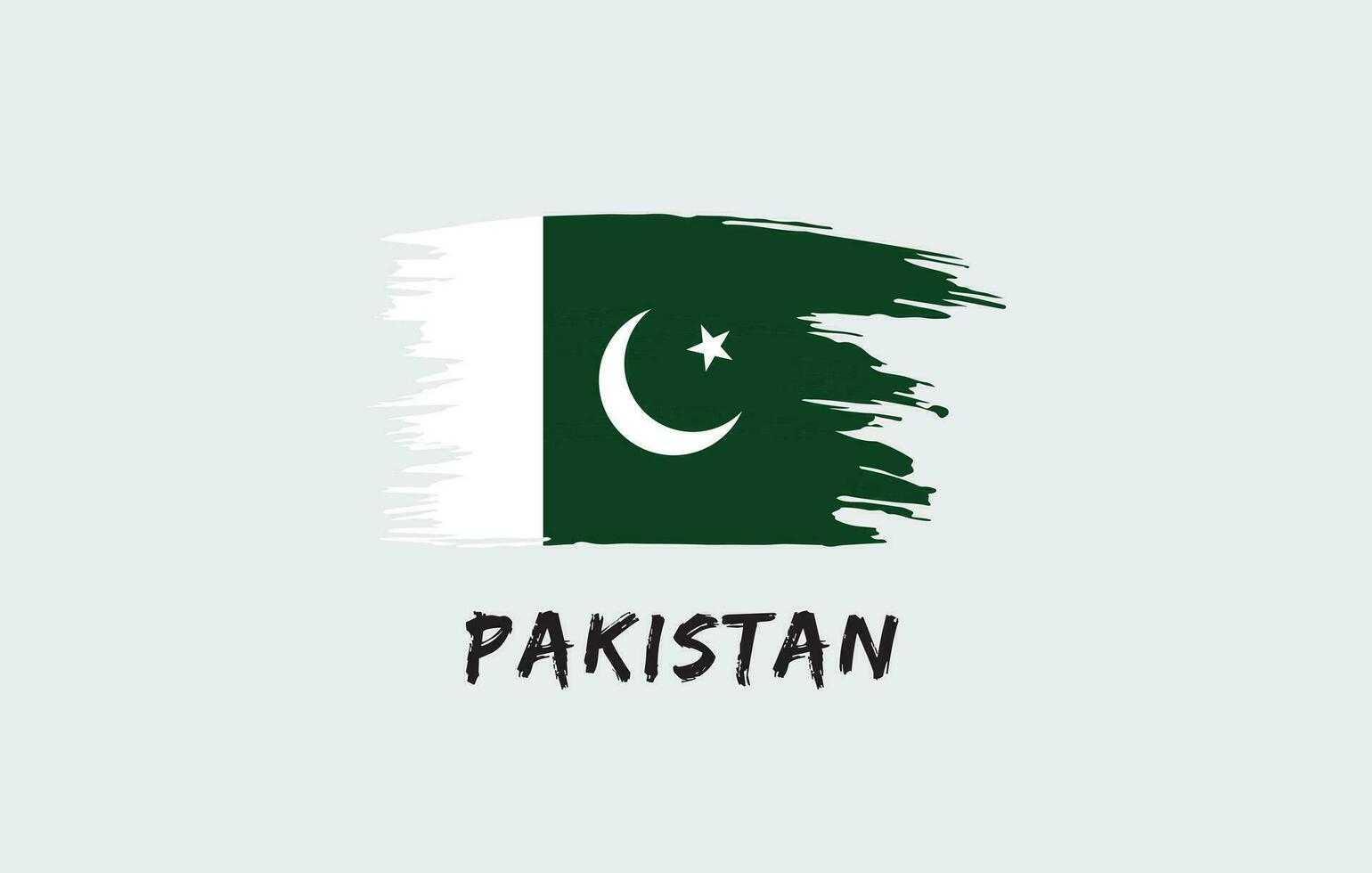Pakistan borstel geschilderd nationaal land vlag geschilderd structuur wit achtergrond nationaal dag of onafhankelijkheid dag ontwerp voor viering vector illustratie