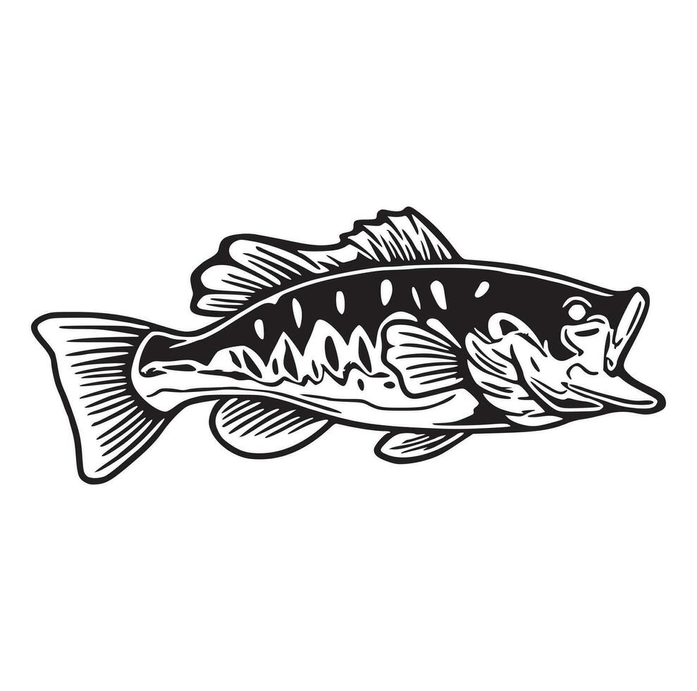 zwart en wit van Largemouth bas vis vector