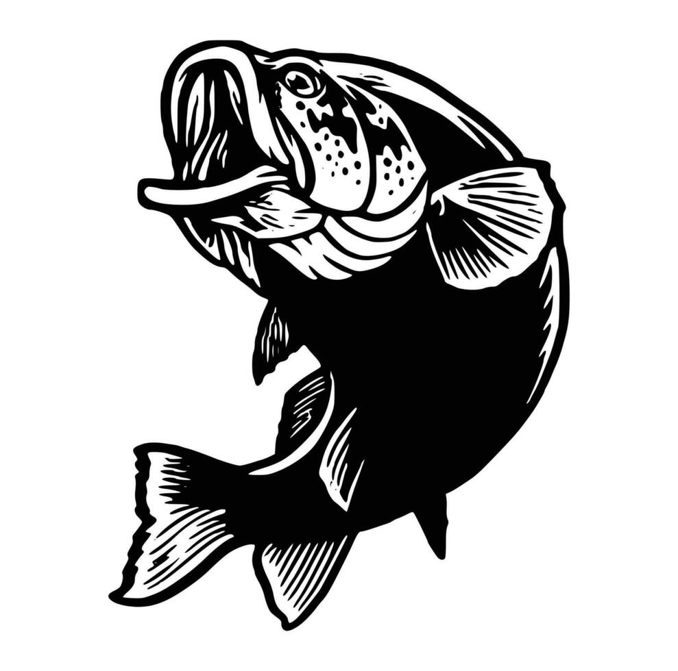 zwart en wit van Largemouth bas vis vector