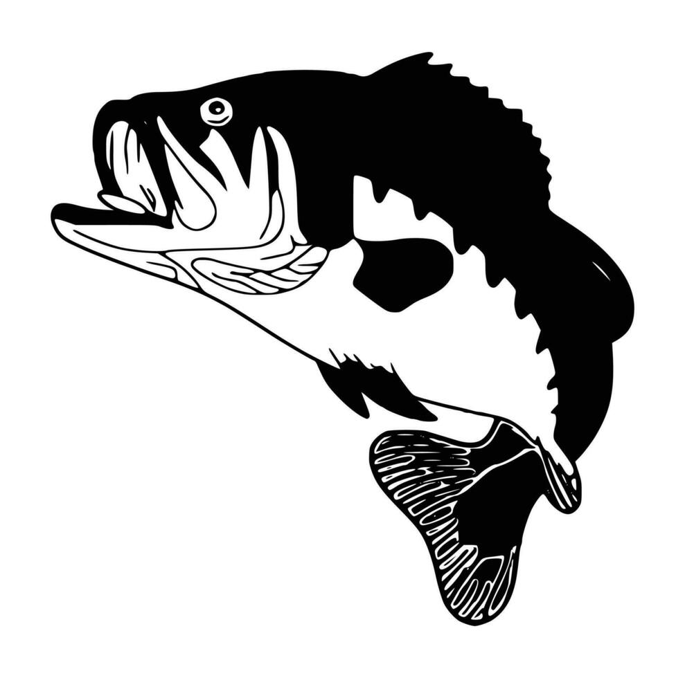 zwart en wit van Largemouth bas vis vector