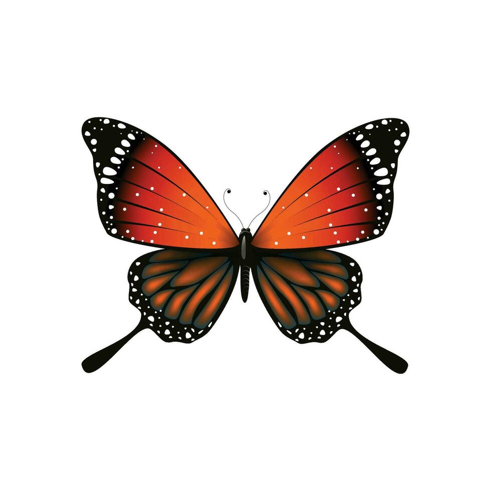 vector vlinder realistisch geïsoleerd Aan wit achtergrond