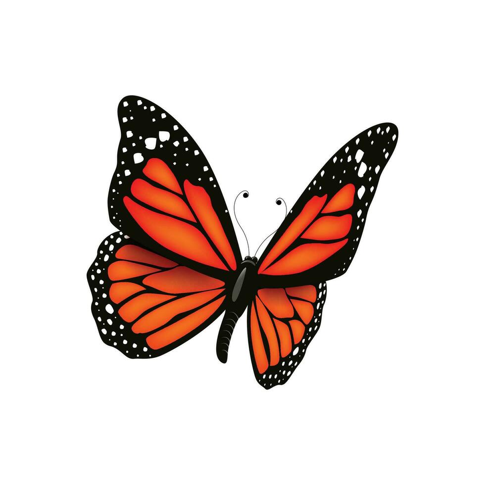 vector vlinder realistisch geïsoleerd Aan wit achtergrond