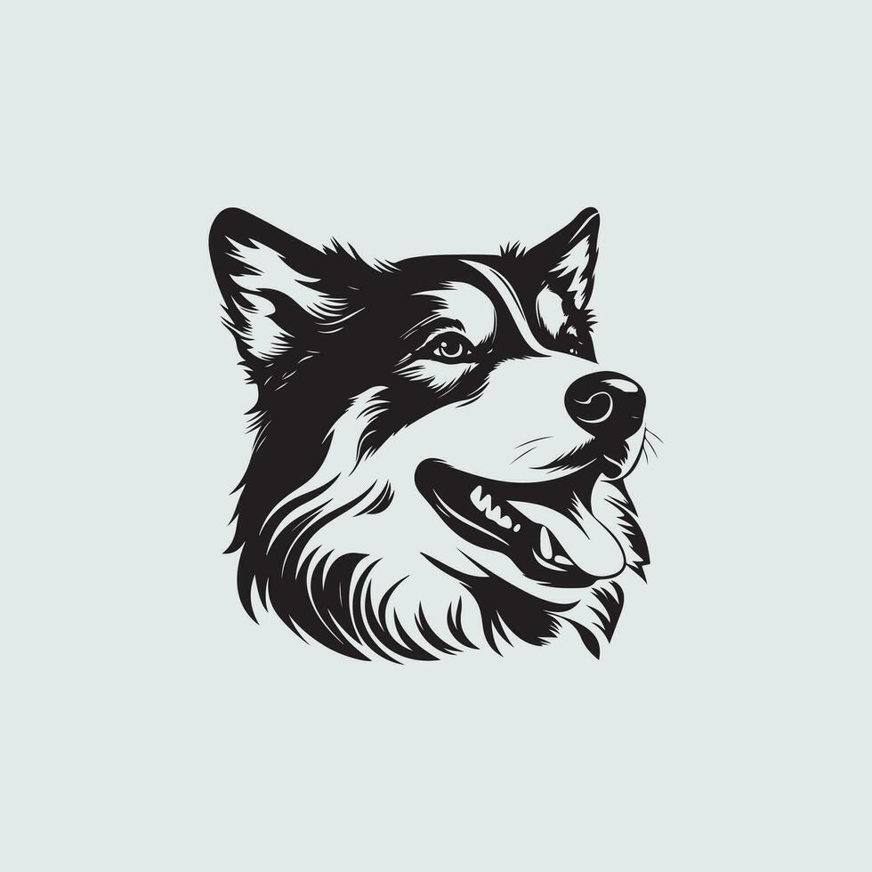 hond vector illustraties