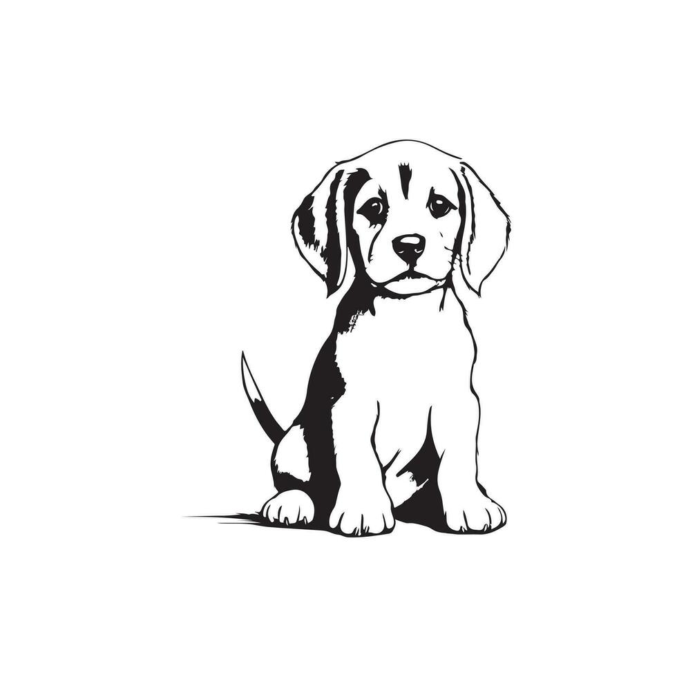 hond vector illustraties