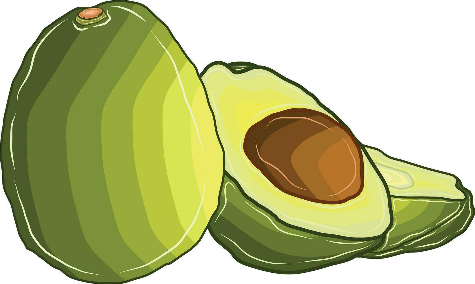 rijp fruit avocado's zijn besnoeiing in voor de helft. vector