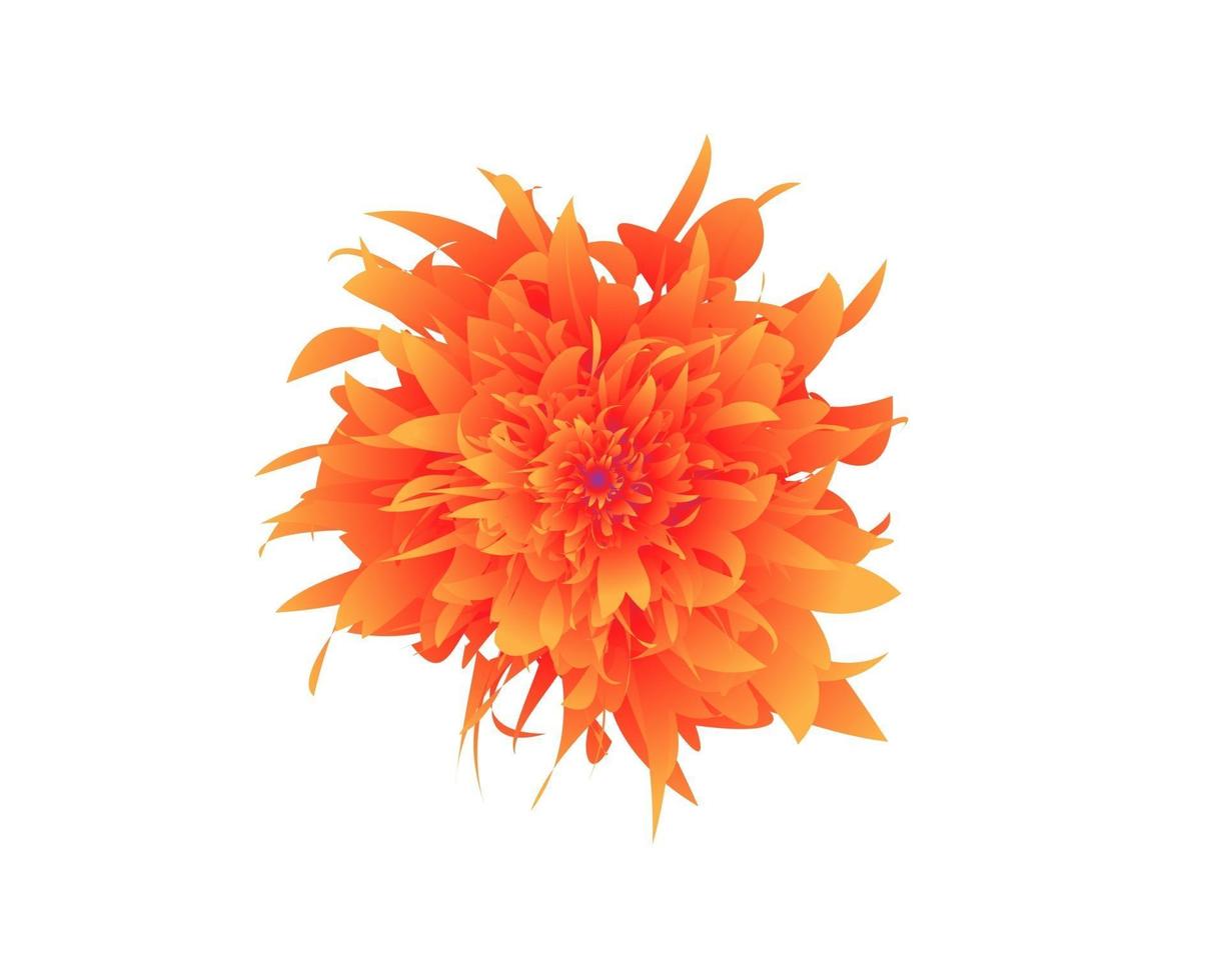 oranje en rode bloem. aquarel bloemen illustratie. bloemen decoratief element. vector bloemen achtergrond.